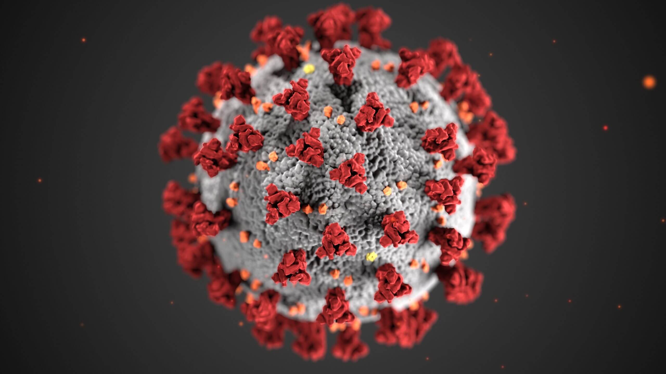 DCS reports 16 new virus cases