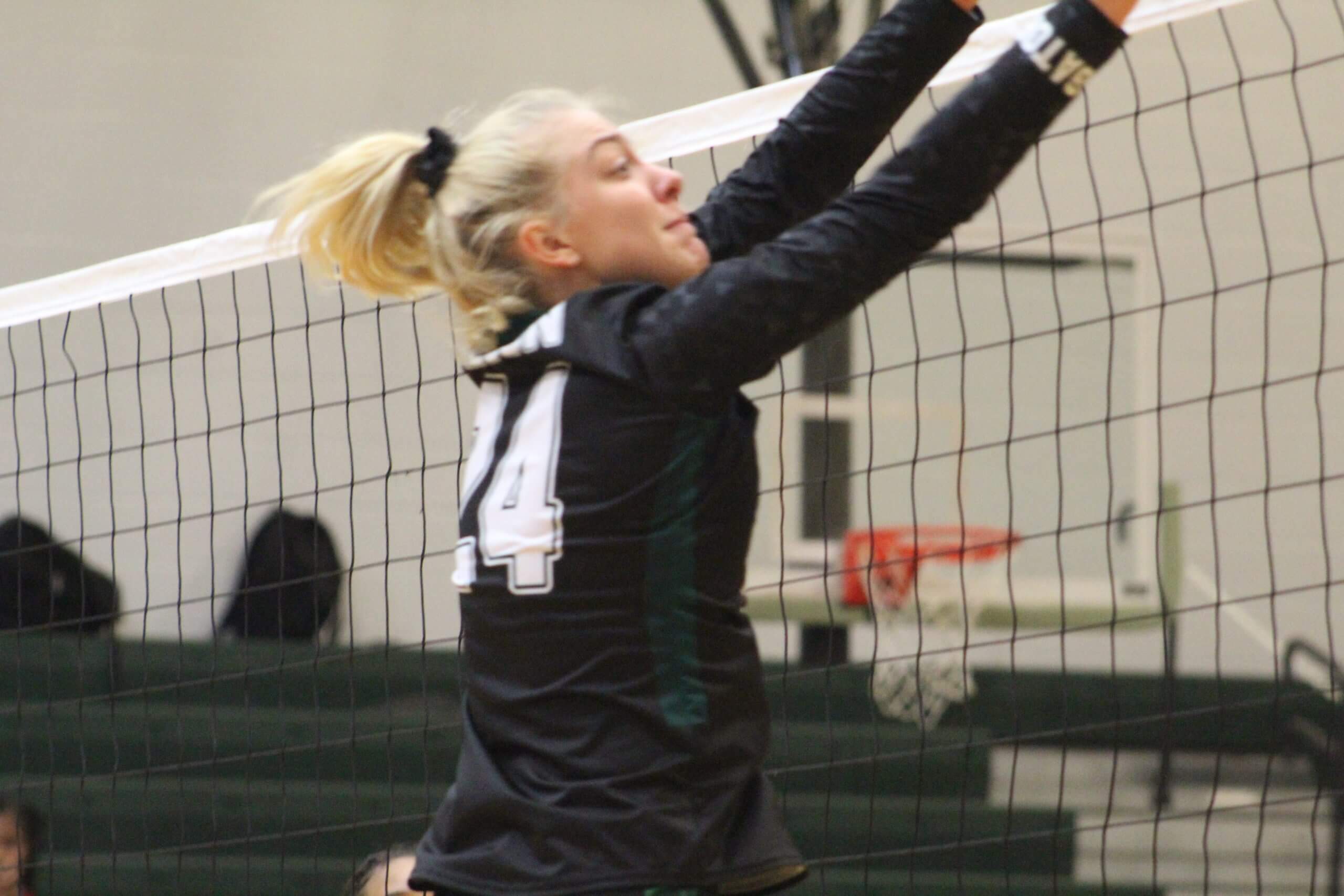 Lady Gators top Lady Dores in volleyball
