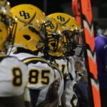 Bowling leaves coaching post at Olive Branch