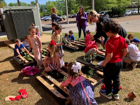 Preschoolers learn about gardening