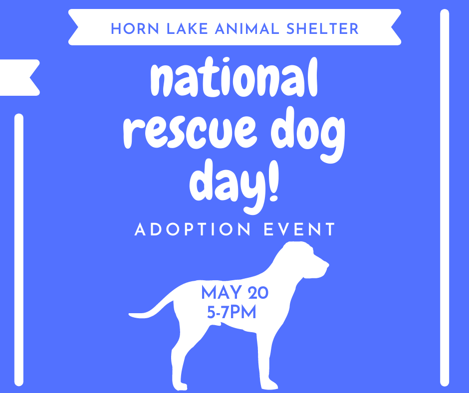 Shelter to observe National Rescue Dog Day | DeSoto County News