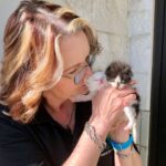 County shelter sees more kittens, puppies