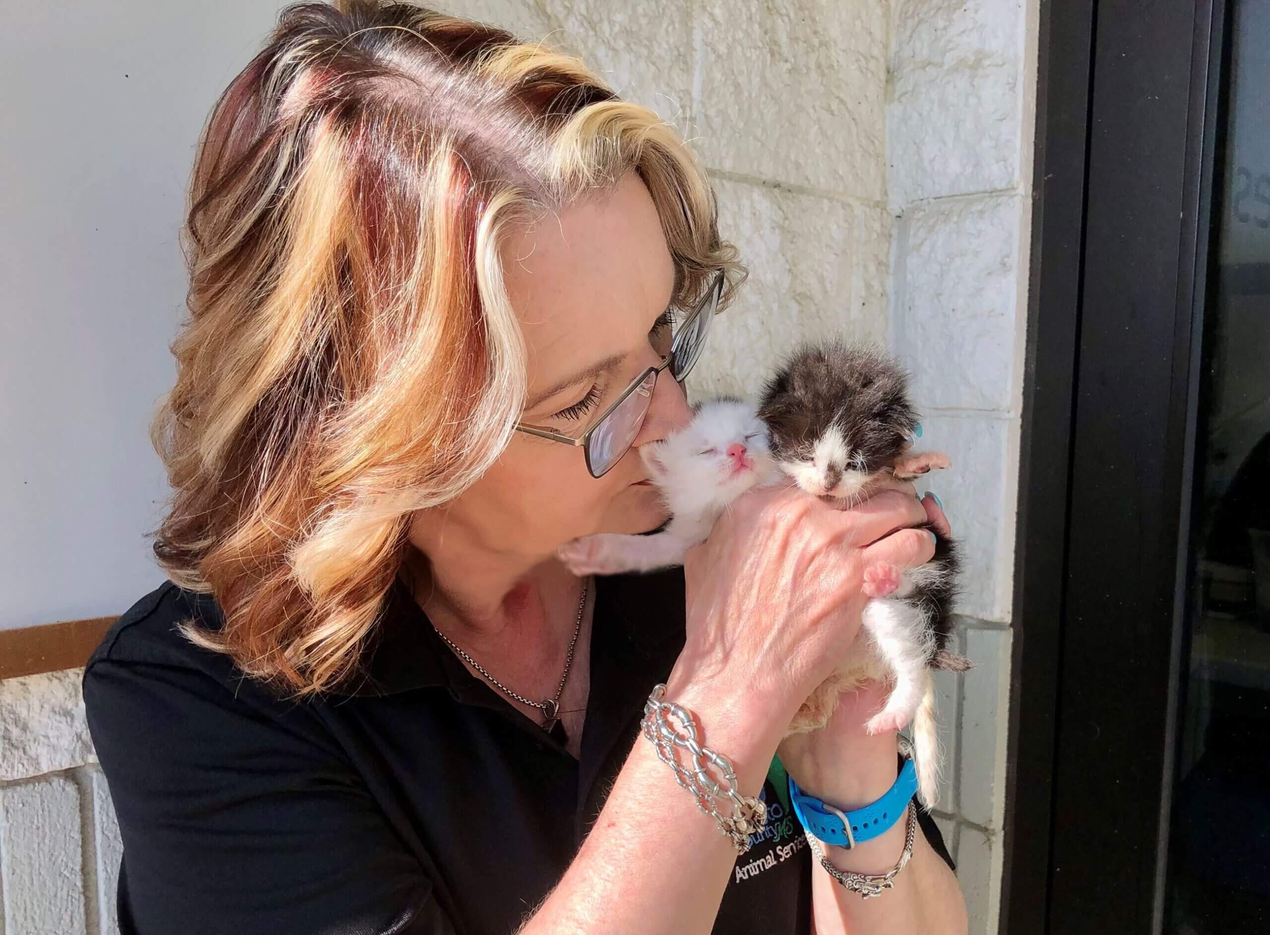 County shelter sees more kittens, puppies