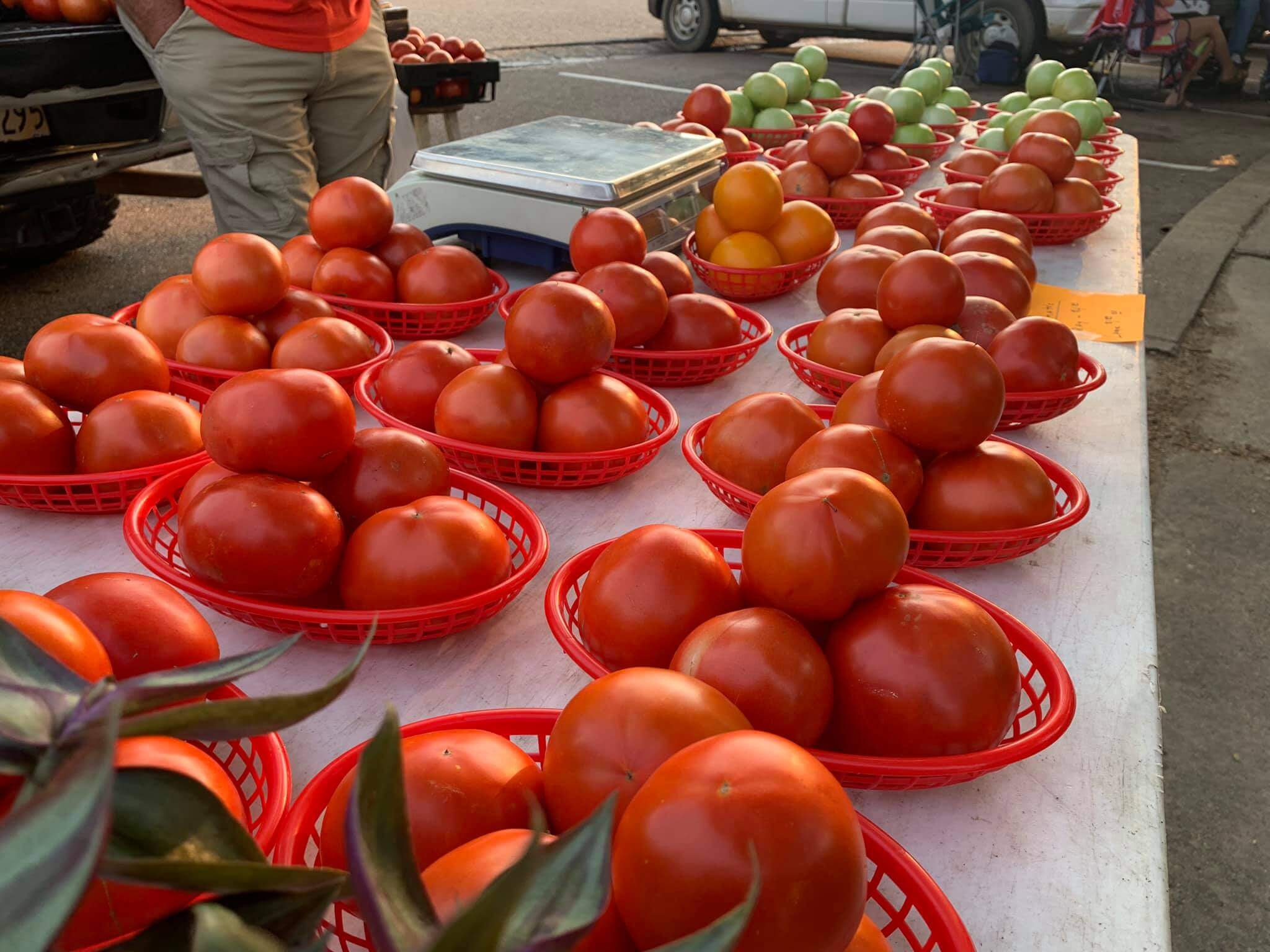 Hernando Farmers Market welcomes thousands