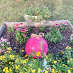 DeSoto Civic Garden Club recognizes “Plant it Pink” month