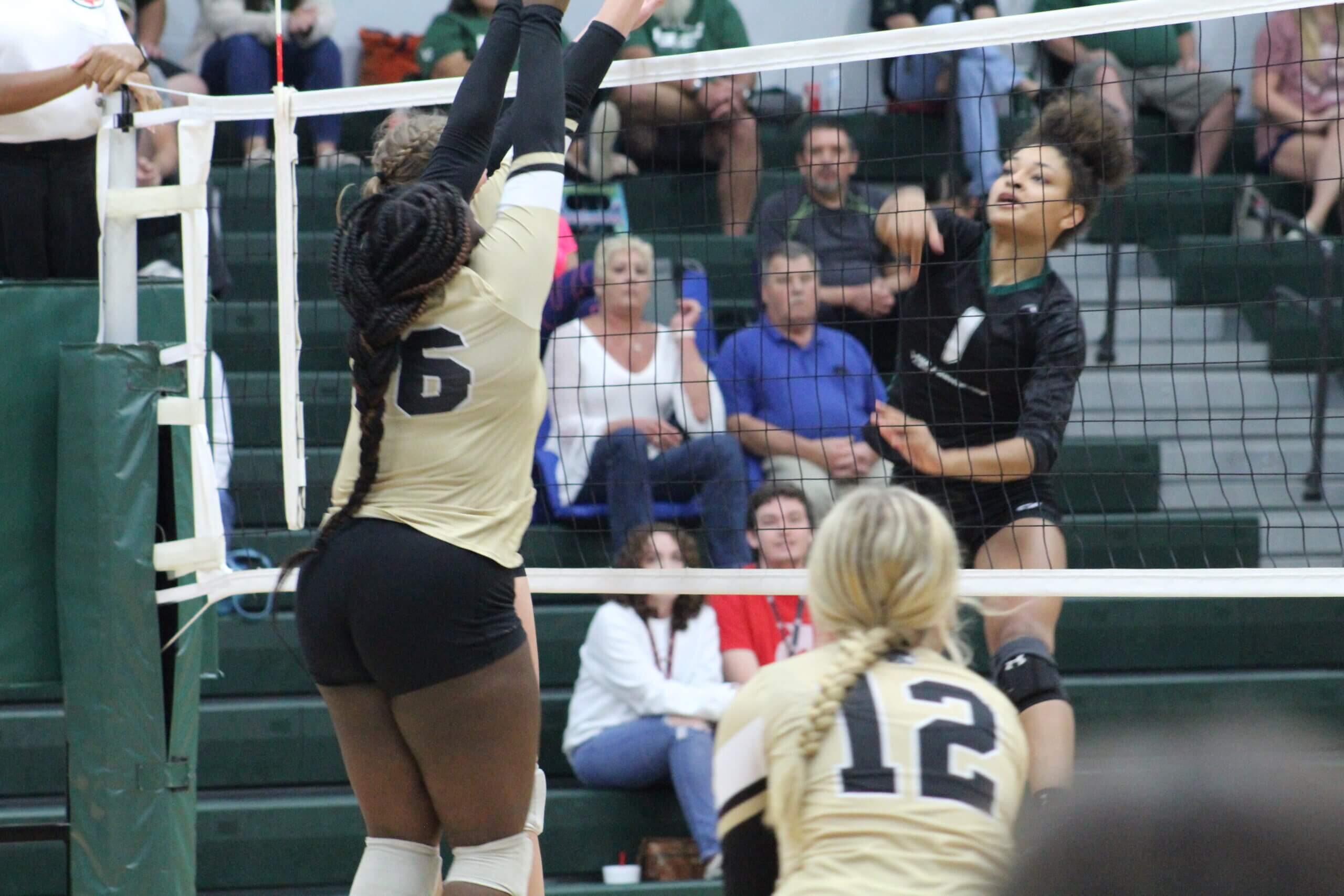 Lady Gators move back to 5A North Half volleyball