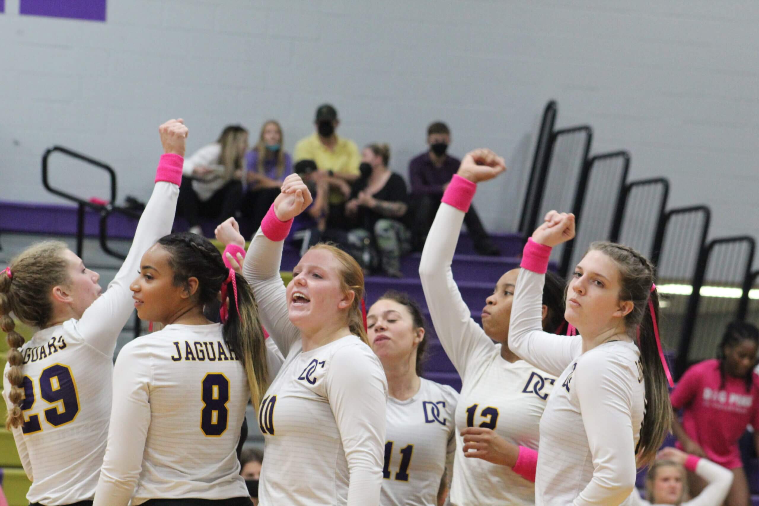 Roundup: Lady Jags, Lady Gators advance in volleyball