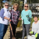 Garden Club does fall planting at Thistledome
