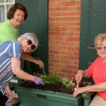 Garden club helps beautify Welcome Center