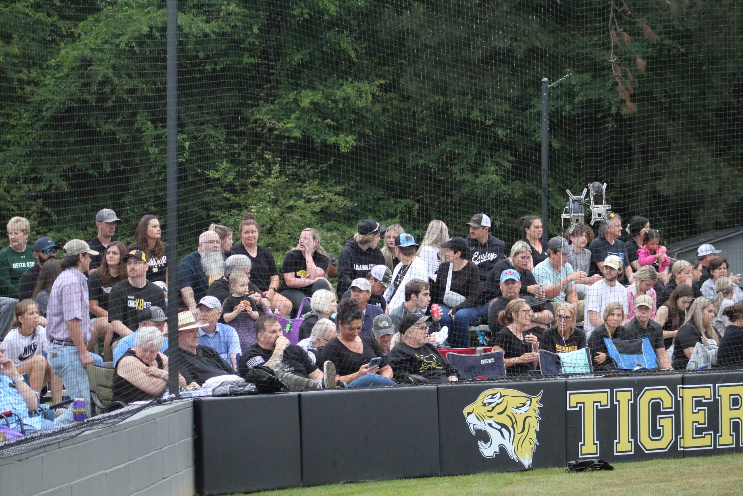 hernando softball crowd