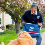 Postal Service reminders on Dog Bites Awareness Week