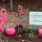 Garden Club participates in Plant It Pink for breast cancer awareness