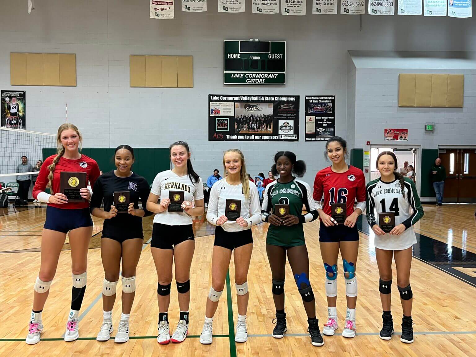 Allcounty volleyball teams announced DeSoto County News