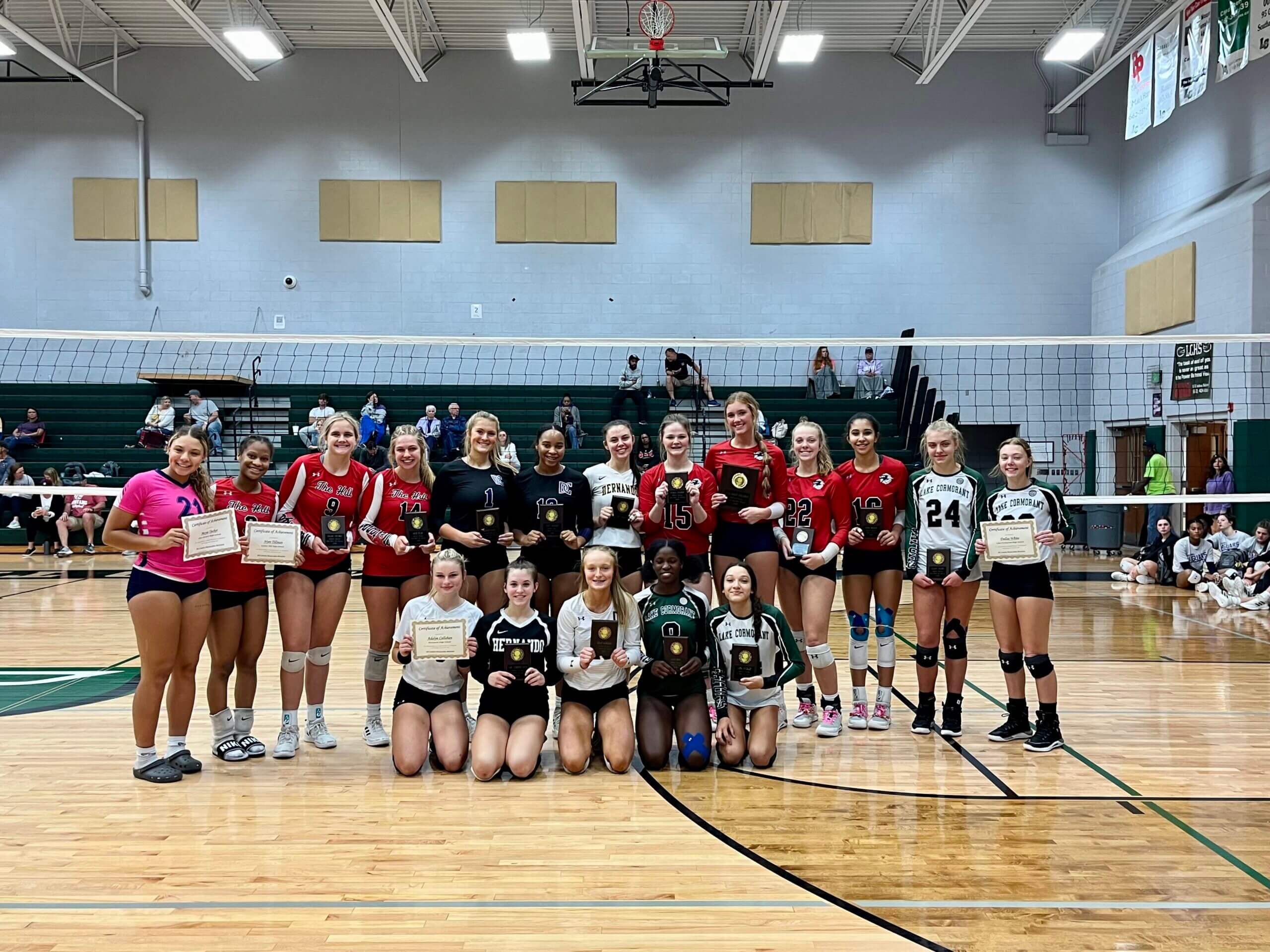 Allcounty volleyball teams announced DeSoto County News