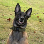 State Fire Marshal’s Office K9 to receive body armor donation