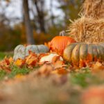 Lynn Jones: The Thanksgiving Habit