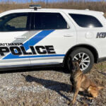 Nonprofit to provide body armor vests to Southaven Police K9s