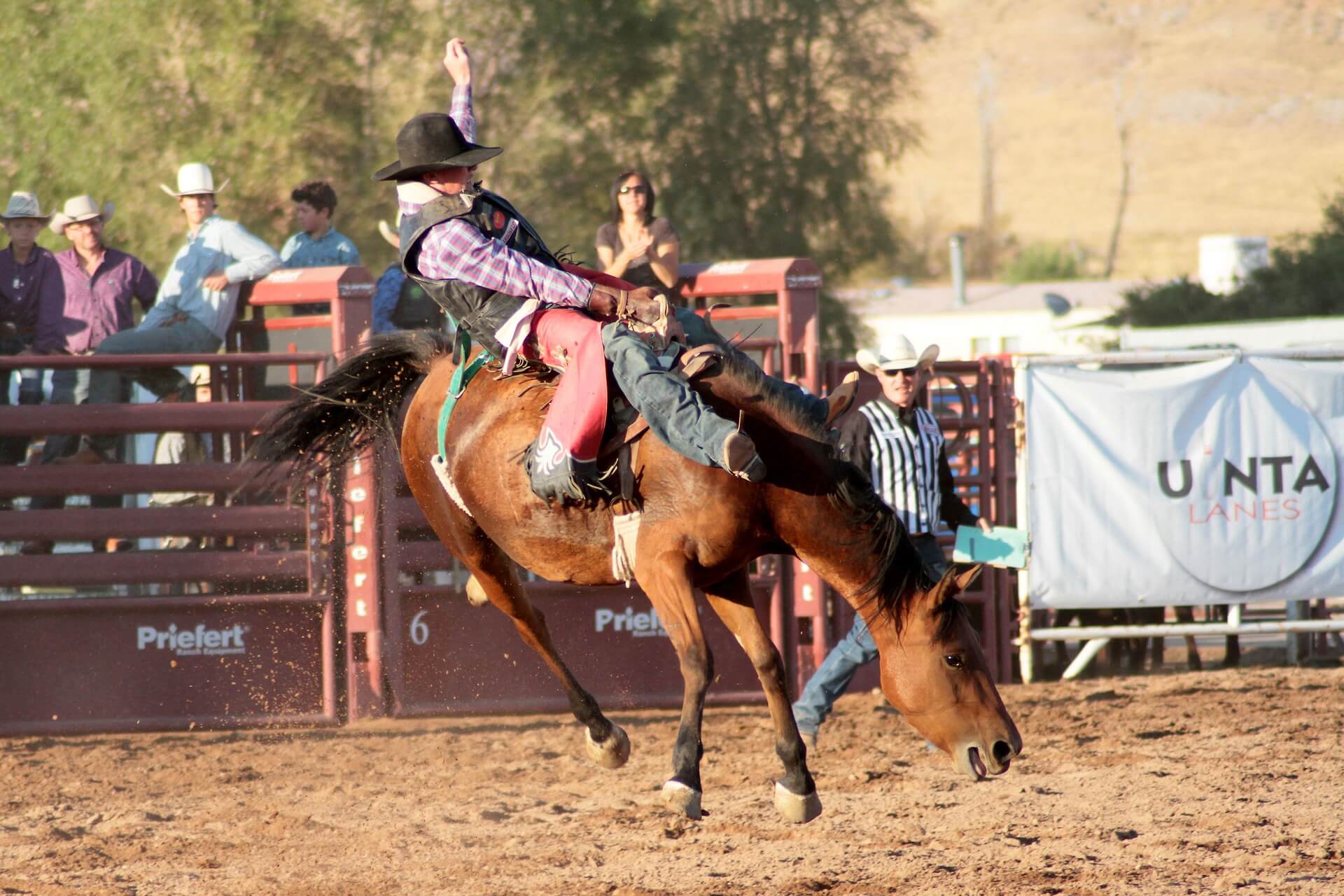 Horn Lake to host Inaugural Mississippi Hometown Rodeo Series DeSoto