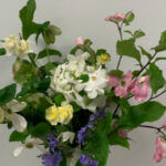 DeSoto Civic Garden Club displays floral arrangement