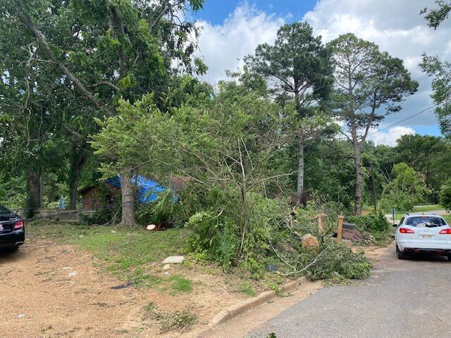 hernando storm damage