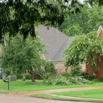 Tree damage, some rain reported from Saturday storms