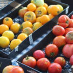 farmers market veggies