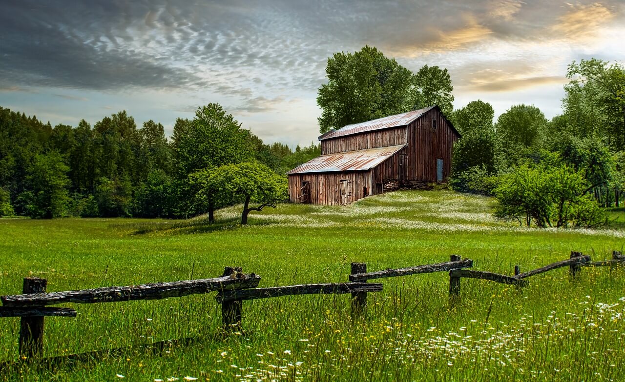 farm scene