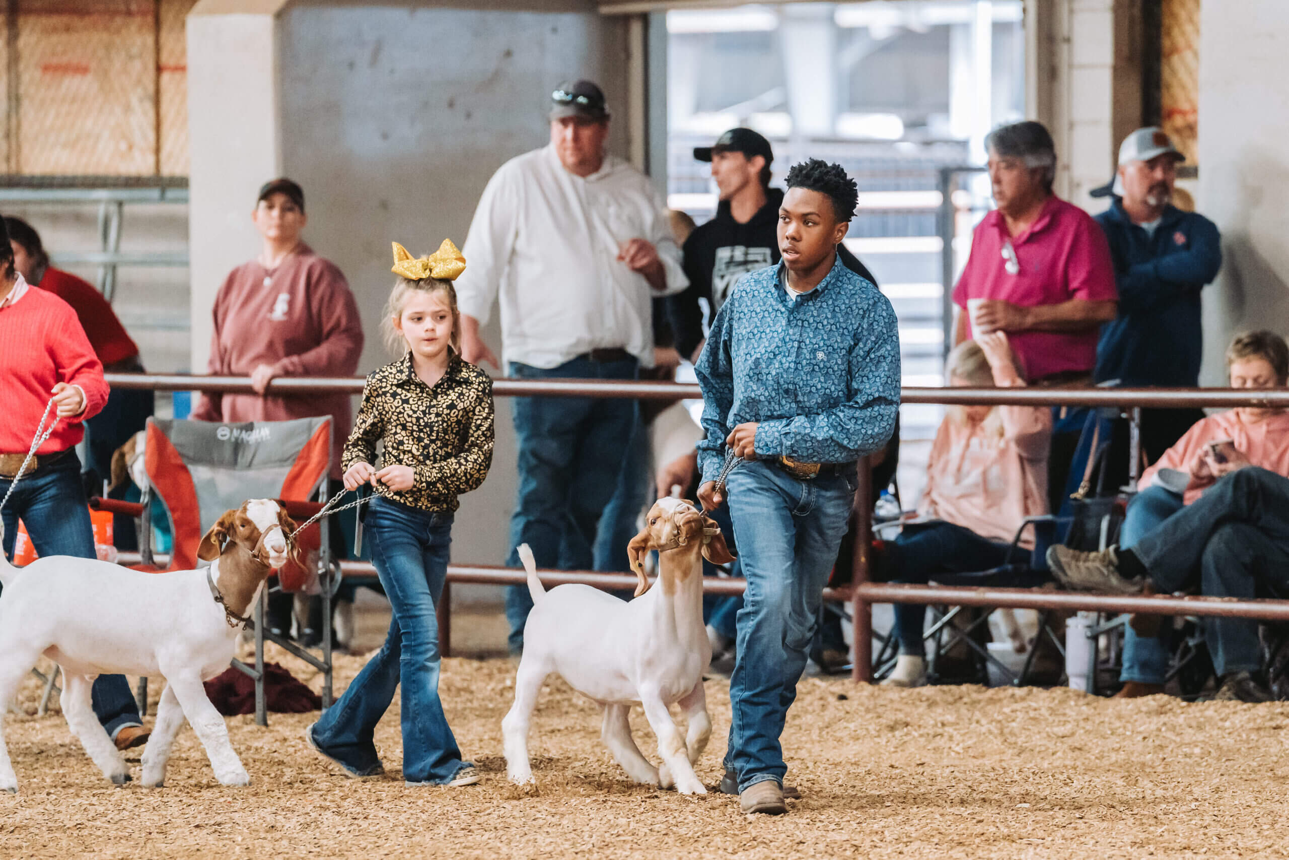 0201 Junior Livestock Shows