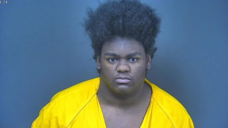 Walls man pleads guilty to second-degree murder in 2023 case | DeSoto ...