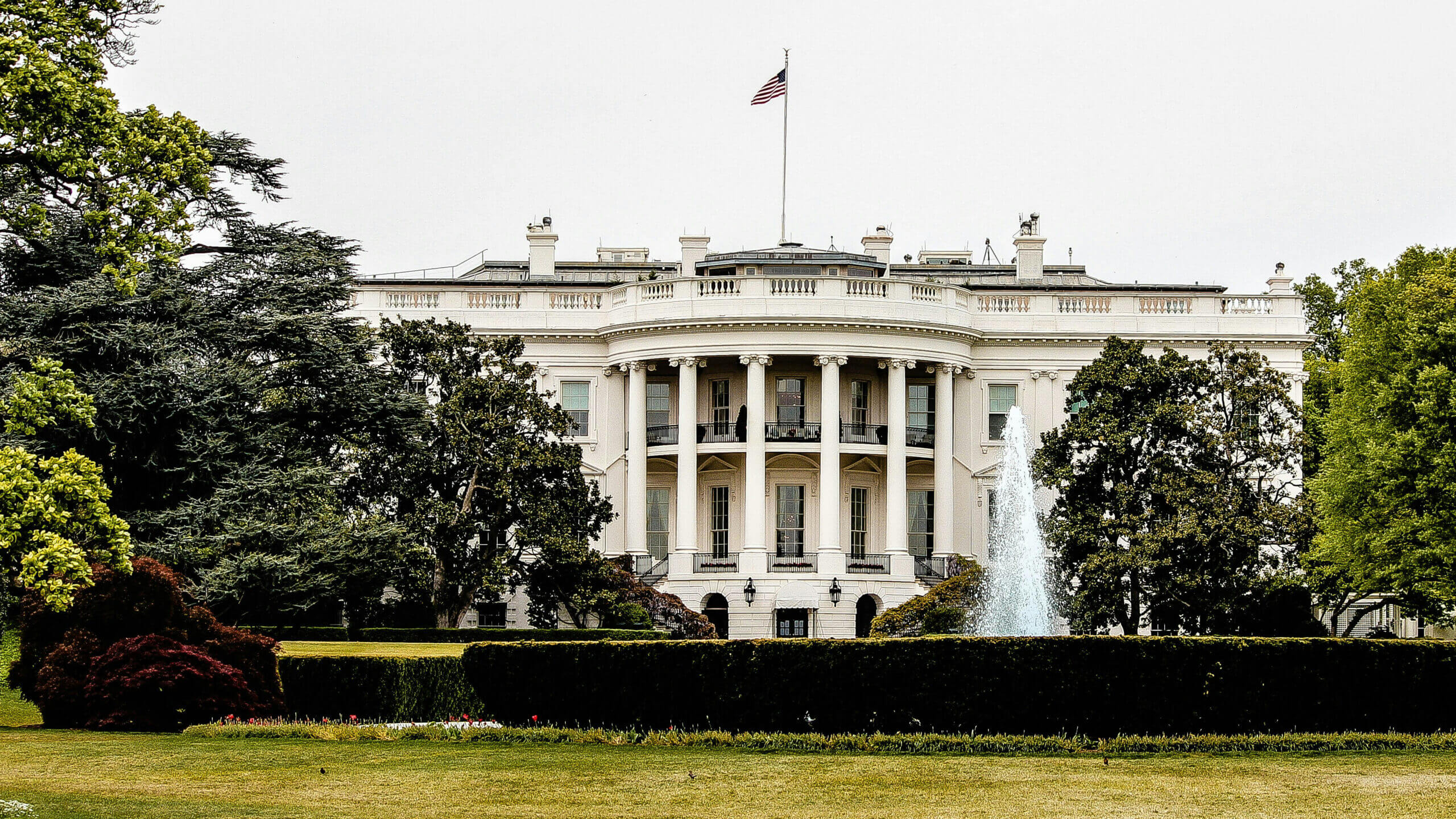 white house