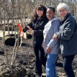 garden club featured