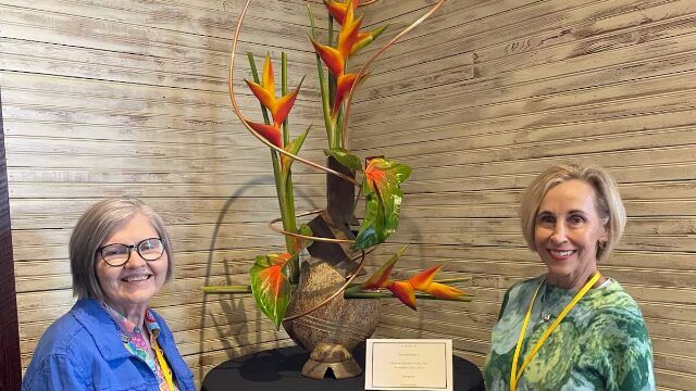 Garden club awards at national, regional, state level
