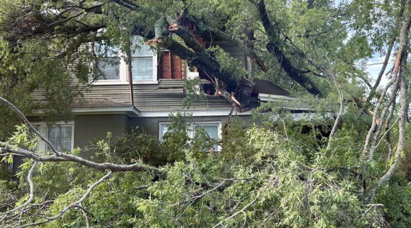 Hernando storm cleanup underway