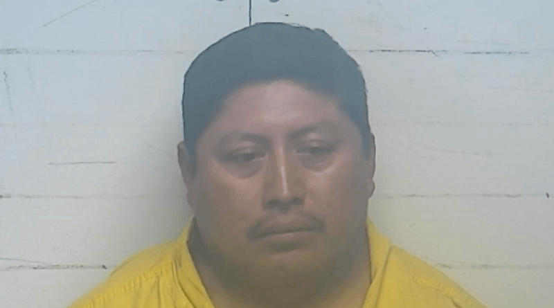 Illegal immigrant sentenced for sexual battery