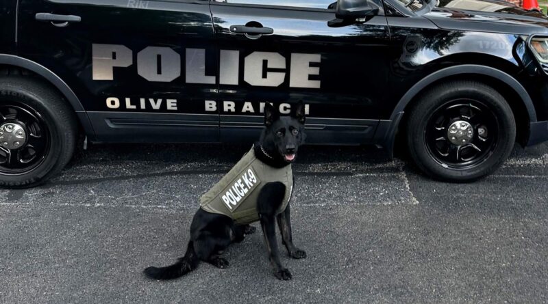 Olive Branch Police K9 Receives Donation of Protective Body Armor
