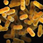 whooping cough