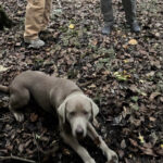 571204284_1197462382493516_7835979762425974483_n