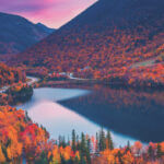 AAA forecasts record 81.8 million Americans for Thanksgiving travel 25-1231-TRV_Thanksgiving-Forecast-Banner-1024×352