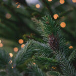 Yoder: Christmas is Not Happy for Everyone freestocks-Q1N9vX2Sp1g-unsplash