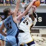 DeSoto Central sweeps Lewisburg in 7A region basketball play IMG_7161