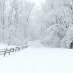 Residents urged to file insurance claims immediately following winter storm annie-nyle-HOxKiWH-2dI-unsplash