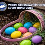 Olive Branch mayor urges residents to keep storm drains clear Where stormwater flows, everything goes!