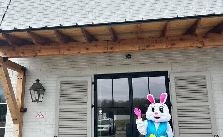Easter Bunny to appear at Hernando Chamber office April 4, chamber says Photos from Hernando Main Street Chamber of Commerce's post