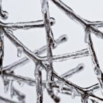 Mississippi lawmakers revive Winter Storm Fern loan program after veto Photo by Pixabay on Pexels