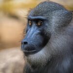 Longtime U.S. appeals court judge E. Grady Jolly dies at 88 Photo by Jesús Esteban San José on Pexels