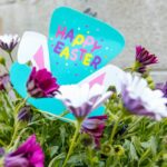 Thousands attend Hal's St. Paddy's Parade in Jackson Photo by RDNE Stock project on Pexels