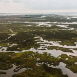 O'Connor gets first taste of Mississippi State-Ole Miss rivalry Photo by Kelly on Pexels