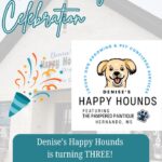 Denise's Happy Hounds LLC to mark third anniversary May 11 We are SO excited to celebrate Denise's Happy Hounds LLC THIRD ANNIVERSARY!👏🥳 We are thankful for th