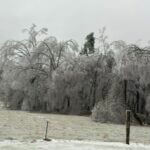 Mississippi Approved for Individual Assistance Due To Ice Storm 97490ef4-bd18-4c2f-a8fa-9728d0dcf60f