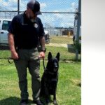 K-9 Officer Shot and Killed at Marshall County Correctional Facility Untitled design (36)